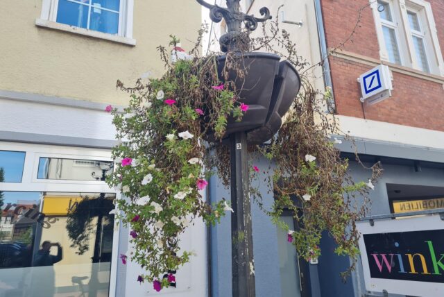 Blumenampeln in Haltern