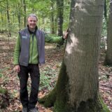 Ein Mann lehnt an einer Roteiche in der Haard in Oer-Erkenschwick.