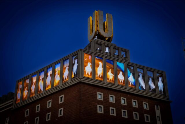 Am U-Turm bei Nacht zeigen Bildschirme Bilder von Tauben.
