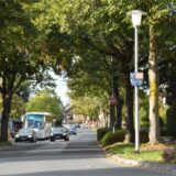 Allee mit Autos