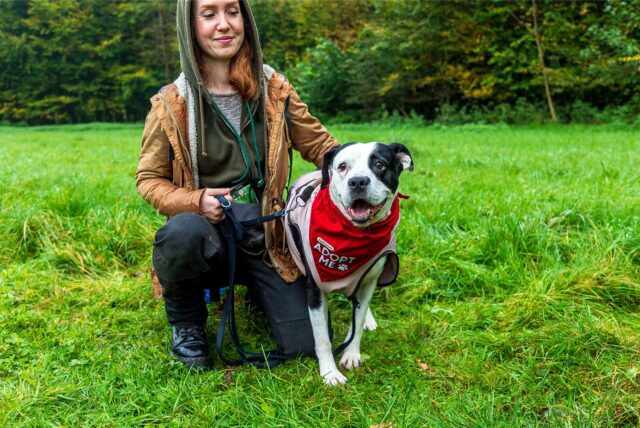 Eine Frau kniet auf einer Wiese im Hertener Schlosspark neben einem Hund.
