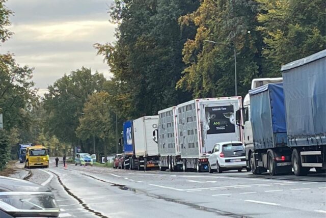 Eine Autoschlange auf der Hebewerkstraße.