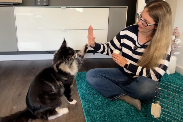 Jenni Elze aus Dortmund beim Training mit ihrer Katze Fluffy.