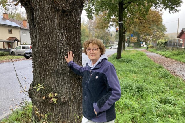 Beatrix Müller-Oldenkott kann noch nicht glauben, dass auch diese mächtige, kerngesunde Eiche an der Halterner Straße für den neuen Schlaufenkreisverkehr gefällt werden soll.