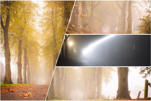 Nebel Haltern Wetter Natur Herbst