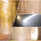 Nebel Haltern Wetter Natur Herbst