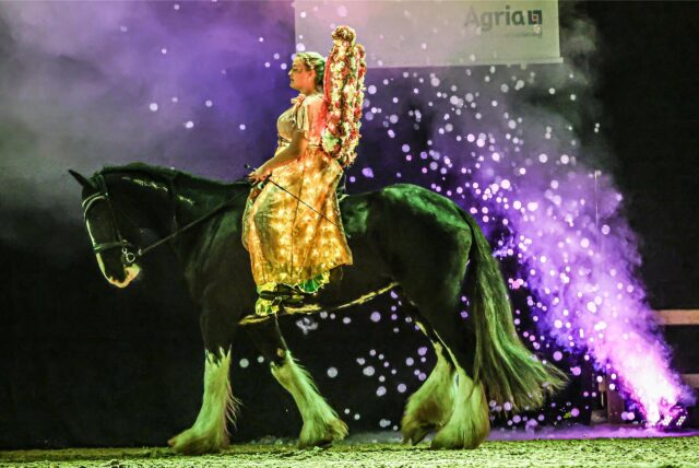 Die Showbilder mit den Shire-Horses, den größten Pferden der Welt, waren märchenhaft schön. Auch am Samstag und Sonntag sind sie bei der Messe „Hund & Pferd“ noch einmal zu sehen.