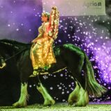 Die Showbilder mit den Shire-Horses, den größten Pferden der Welt, waren märchenhaft schön. Auch am Samstag und Sonntag sind sie bei der Messe „Hund & Pferd“ noch einmal zu sehen.