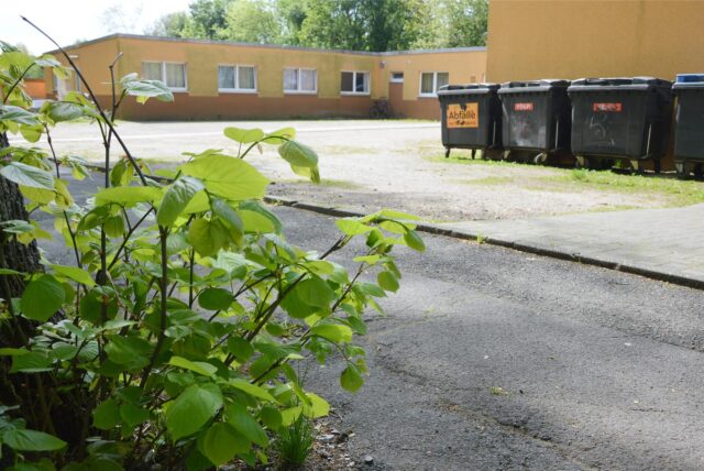 Die Stadt betreibt seit 2003 eine Flüchtlingsunterkunft an der Lindenstraße.