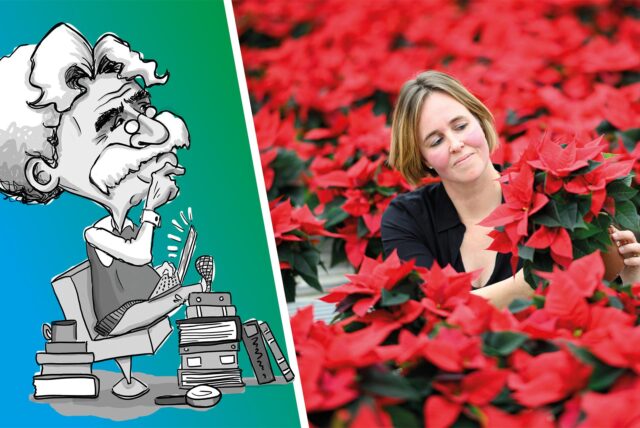 Frau steht inmitten von Weihnachtssternen.