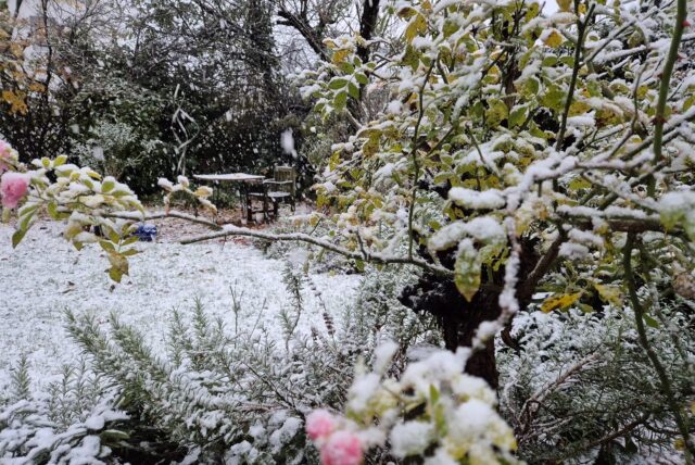 Der erste Schnee des neuen Winters 2024 ist da, und das schon, bevor der Winter überhaupt begonnen hat. Er fiel am 20.11.2024.