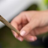 Ein Mensch hält einen Joint in der Hand.