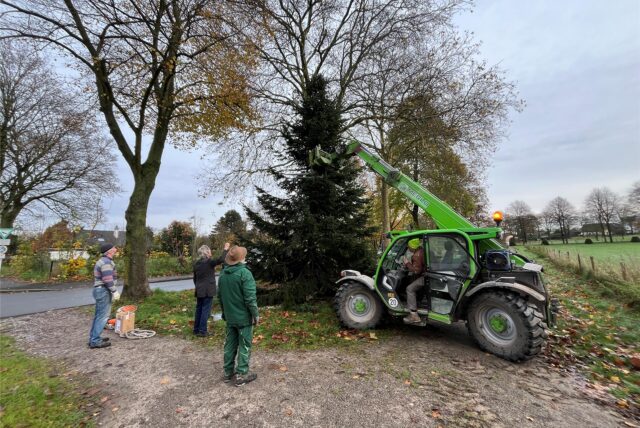 Ein Tieflader hält einen Tannenbaum, davor stehen Leute und betrachten den Baum.