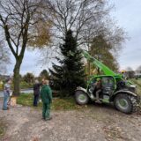 Ein Tieflader hält einen Tannenbaum, davor stehen Leute und betrachten den Baum.