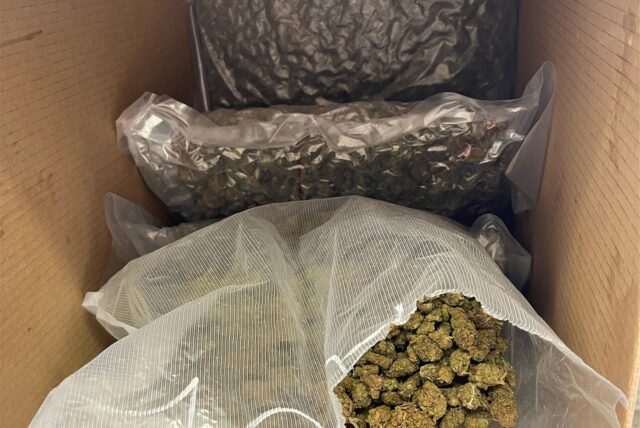 Beutel mit Marihuana, die bei einer Durchsuchung in Marl sichergestellt wurden, liegen in einem Pappkarton.