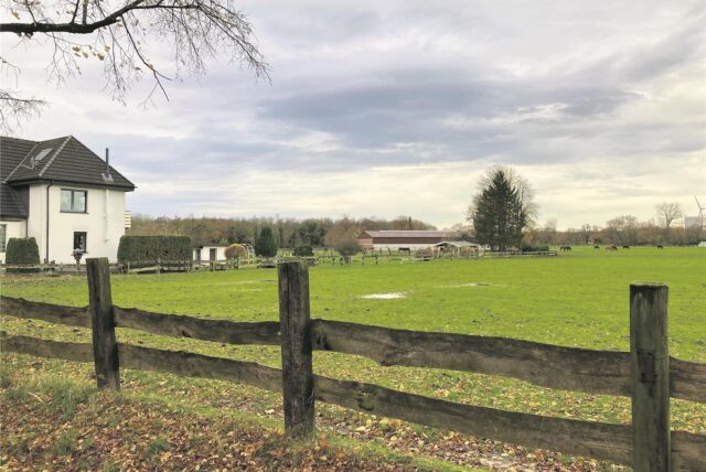 Dieser Teil von Meßmanns Wiese, wo bislang Pferde und Rinder grasen, soll künftig für eine kleine Wohnsiedlung genutzt werden.