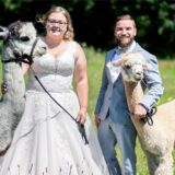 Sina und Marcel Reichardt, Hochzeitspaar aus der Wedemark, steht mit den Alpakas Kiowa (l) und Nacho auf einer Weide.