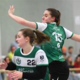 Handball 3. Liga Mitte 23. November 2024, Halle Nord. PSV Recklinghausen – HSG Bensheim/Auerbach II 23:32.