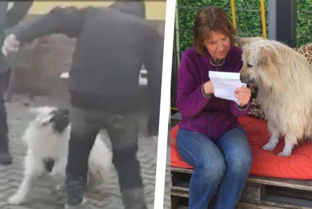 Das Video eines Hundetrainers sorgt für massive Kritik am Tierschutzverein Castrop-Rauxel. Kristina Rummeld (re.) wehrt sich gegen die Vorwürfe.