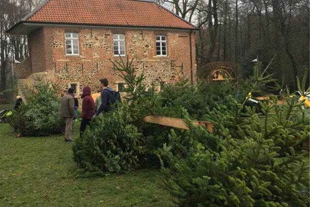 Weihnachtsbaum wird verkauft und verpackt