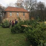 Weihnachtsbaum wird verkauft und verpackt