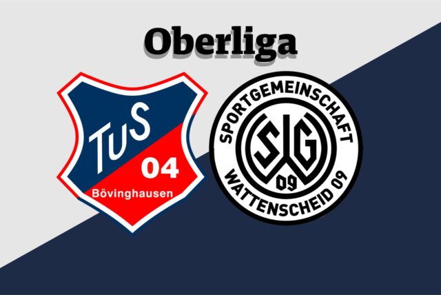 Collage aus Vereinslogos