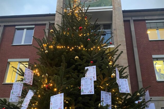 223 Wunschzettel haben die Bürgerinnen und Bürger in den vergangenen Wochen vom Weihnachtsbaum am Rathaus genommen.