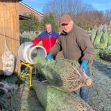 Ein Mann in braunem Pullover hat einen Tannenbaum durch einen grauen Trichter gezogen, um ihn in ein Netz einzuwickeln. (Archiv)