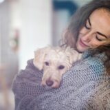 Weißer kleiner Hund, der an Silvester Angst hat, und von einer Frau im Strickpullover beruhigt wird.