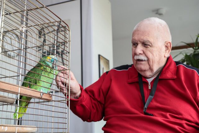 Jürgen (83) krault in seiner Wohnung in der Seniorenresidenz Phoenixsee in Dortmund Papageiendame Nora in ihrem Käfig.