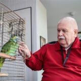 Jürgen (83) krault in seiner Wohnung in der Seniorenresidenz Phoenixsee in Dortmund Papageiendame Nora in ihrem Käfig.