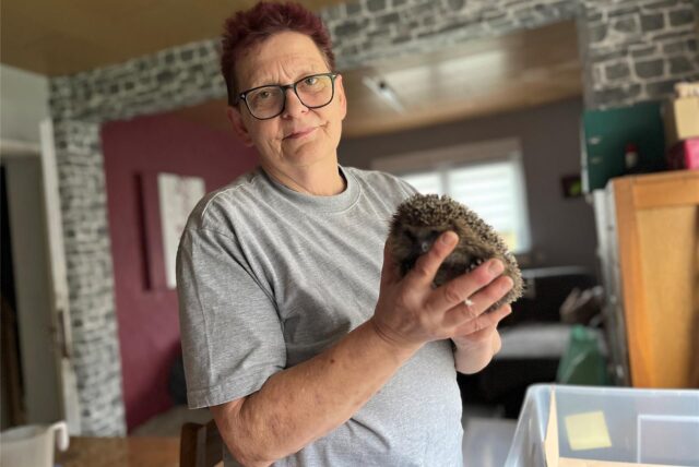 25 Igel bereitet Gertrud Smyra aus Castrop-Rauxel auf den Winter vor.