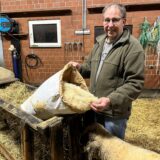 Schafzüchter WIlli Böntert aus Lippramsdorf zeigt Schafwolle
