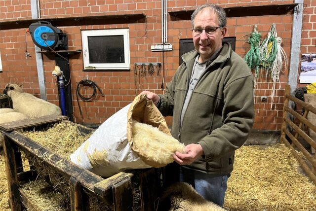Schafzüchter WIlli Böntert aus Lippramsdorf zeigt Schafwolle