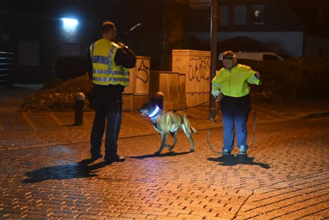 Eine Diensthundeführerin der Polizei ist im Einsatz.