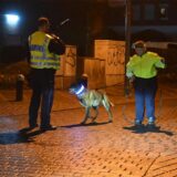 Eine Diensthundeführerin der Polizei ist im Einsatz.
