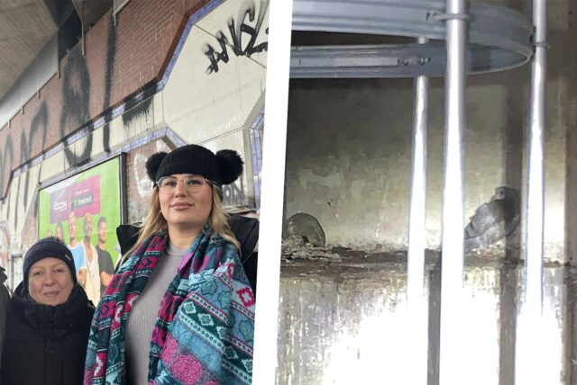 Tierschützerinnen Carina, Katharina Ciak und Luci unter der Brücke der Deutschen Bahn in Dorsfeld; eingeschlossenes Taubenküken