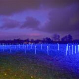 Rolf Arno Specht und Mareike Helbing lassen seit Jahren mit Lichtkunst Bauwerke in vielen Farben leuchten (Foto rechts). Nun haben sie die Gedenkstätte am Konzentrationslager in Ladelund zu einem Ort des Erinnerns gestaltet.