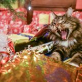 Eine Katze sitzt unter einem Tannenbaum und spielt mit dem Geschenkpapier. (Symbolbild)