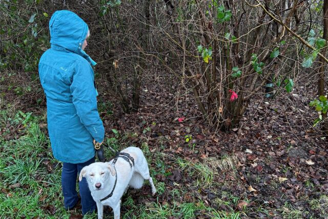Eine Frau steht mit ihrem Hund vor einem Gebüsch.