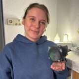 Lisa-Marie Krieger mit einer Taube auf der Hand.