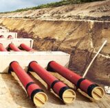 Bei der Verlegung der Rohre für die Gleichstrom-Höchstspannungleitungen entsteht eine 40 Meter breite Schneise. Für die Trasse müssen alle dort stehenden Bäume gefällt werden.