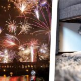 In der Montage schaut ein ängstlicher Hund in Richtung eines Feuerwerks.