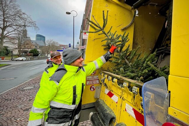 Weihnachtsbaum Entsorgung EDG Dortmund
