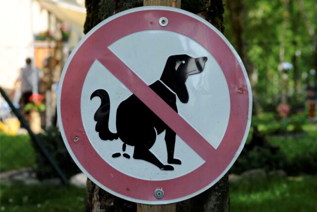Ein Schild, das es Hundehaltern verbietet, ihre Vierbeiner das Geschäft vor Ort machen zu lassen.