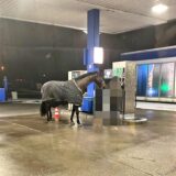 Ein gestohlenes Pferd mit Decke steht mit einer Frau (verpixelt) an einer Zapfsäule einer Tankstelle in Meinerzhagen