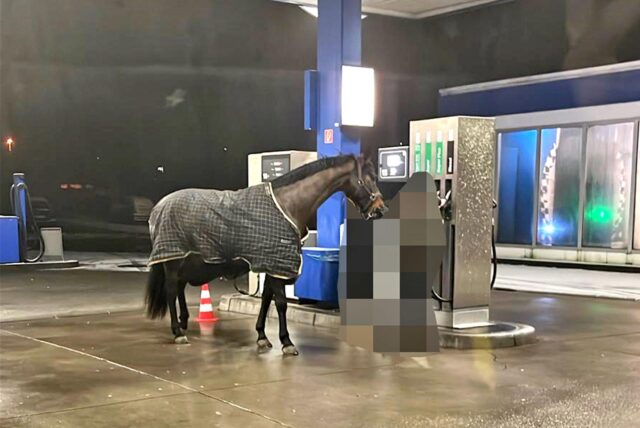 Ein gestohlenes Pferd mit Decke steht mit einer Frau (verpixelt) an einer Zapfsäule einer Tankstelle in Meinerzhagen