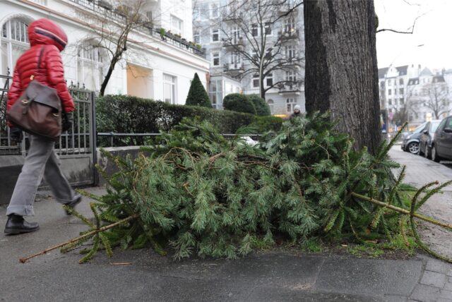 Weihnachtsbäume liegen am Straßenrand.