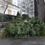 Weihnachtsbäume liegen am Straßenrand.
