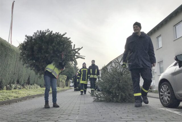 Die Feuerwehr des Löschzuges Rauxel Dorf und Landwirte wie Ulrich Dingebauer holen ausgediente Weihnachtsbäume in Dingen ab. In der ganzen Stadt ist am Samstag Tannenbaumaktion.